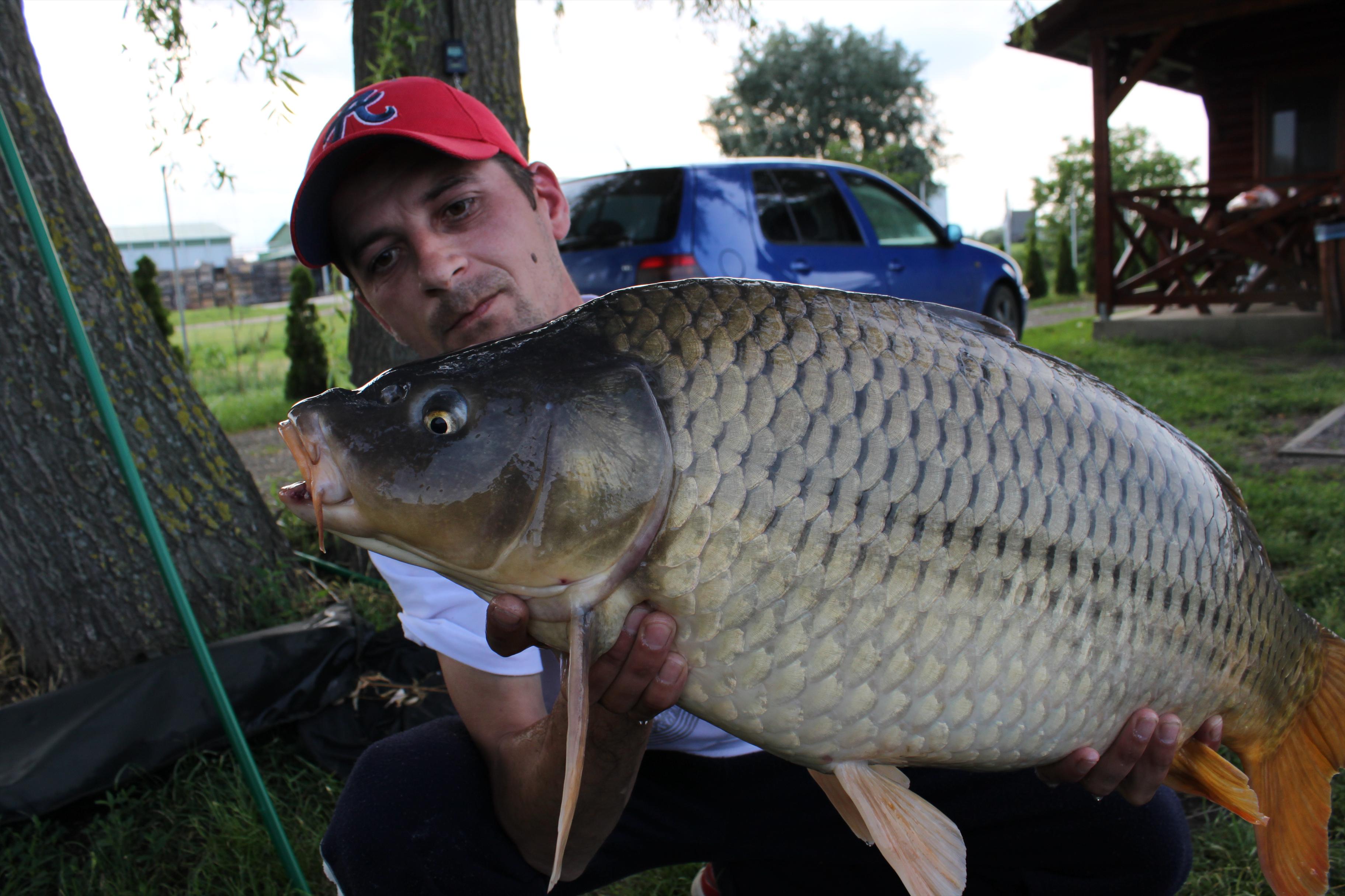 Capturi 2012 - IMG_0770.JPG